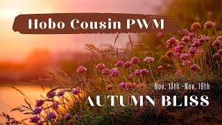 Hobo Cousin PWM  Nov 13th  Nov19th  Kit 03 Autumn Bliss [upl. by Danyluk]