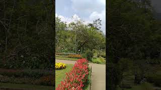 Haggala chanuwa travelsl srilanka love chamal721 nuwaraeliya welimada [upl. by Naened]