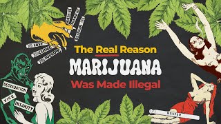 The REAL Reason Marijuana Was Made Illegal [upl. by Misa]