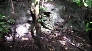 Japanese Bunker on Peleliu Attacked by Eugene Sledge’s Marine Unit [upl. by Ecinhoj766]