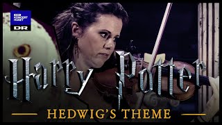 Hedwigs Theme  Harry Potter  Danish National Symphony Orchestra Live [upl. by Zoilla]