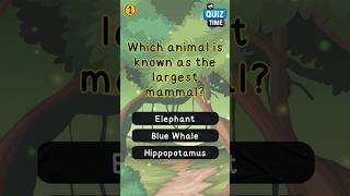 Animal Fun Quiz EP18 animals animallover [upl. by Enilegnave822]