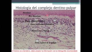 Patología Pulpar Periapical y Osteomielitis [upl. by Ahsenar]