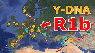 How did the YDNA Haplogroup R1b become EuropeanHuman Migration [upl. by Xantha]