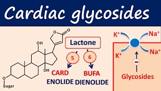 Cardiac glycosides in easy way  Digoxin digitoxin [upl. by Armington]