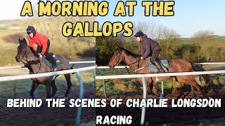 A MORNING AT THE GALLOPS  BTS Charlie Longsdon Racing [upl. by Reeve]