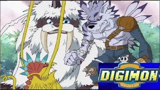 Garurumon digievoluciona a Weregarurumon  DIGIMON CAPITULO 23 COMPLETO digimon digimonlatino [upl. by Mildred]