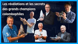 Les révélations et les secrets des grands champions colombophiles [upl. by Letch]