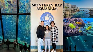 A Captivating Experience at Monterey Bay Aquarium  Marine Conservation amp Education  Monterey CA [upl. by Krusche]