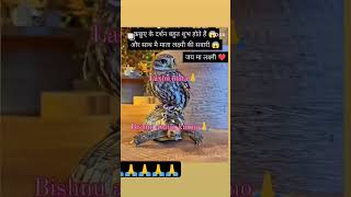 Jai maa Laxmi🙏🙏 love viralvideo youtubeshorts [upl. by Ellesig699]