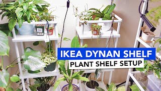 IKEA DYNAN Plant Shelf Setup  Mini Plant Tour [upl. by Sirraj383]