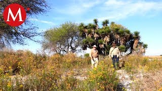 La persistencia de la maldad humana  Documental Corto [upl. by Wichern367]