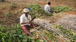 Mechanization in Sericulture  Need of the day [upl. by Neellok]