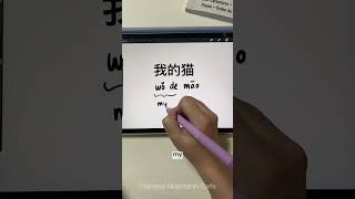 Beginner Chinese Grammar Lesson 们 men Chinese Pinyin ChineseLesson [upl. by Seessel946]