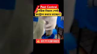 Best pest control service BD PestControlbd termitecontrol cockroachcontrol nearpest shorts [upl. by Kolb]