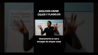 BIOLOGÍA UNAMCILIOS Y FLAGELOS vamospor120 admisionunam examenunam universidad flagelo cilios [upl. by Nnyleitak35]