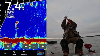 Whitefish Livescope Action Almost Limit Out in an Hour [upl. by Enyluqcaj287]