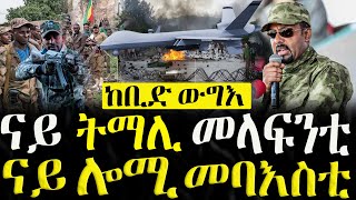 ሓድሽ ዜናታት ትግርኛ  16082023  ናይ ትማሊ መላፍንቲ ናይ ሎሚ መባእስቲ  ZENA TIGRIGNA [upl. by Nonnahc584]