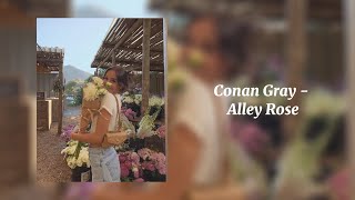 Alley Rose  Conan Gray Sped Up [upl. by Christiana]