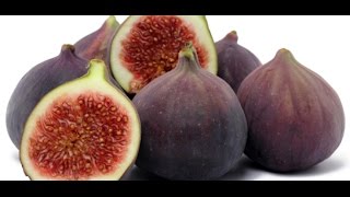 HOW TO GROW FIGS IN A CONTAINER OR POT [upl. by Apeed]