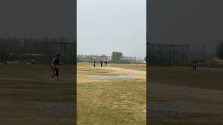 Best half century celebration shorts viral cricket tricitysportslive ytshorts [upl. by Richman748]