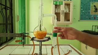 Essential Oil Extraction Process  Limonene from orange peel [upl. by Enoval]