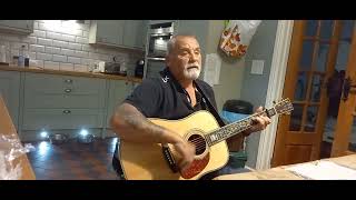 Peter Sarstedt  Where Do You Go To My Lovely Wayne Evans Acoustic cover [upl. by Edmon836]