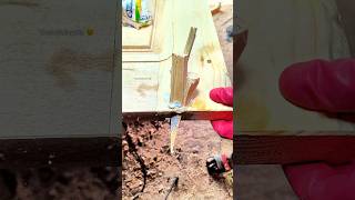 diy WoOd CrAcK repair 😉 SPECIAL tip WiTh super GlUe ad woodworking wood shorts maker [upl. by Atnom864]