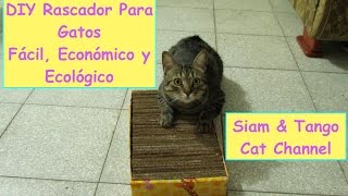 Como Hacer Un Rascador Casero Para Gatos Fácil Económico y Ecológico DIY [upl. by Nythsa]