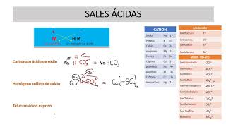 SALES ÁCIDAS [upl. by Ardnu]