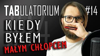 Kiedy Byłem Małym Chłopcem dla początkujących  14 TABulatorium  Harmonijka [upl. by Acimad]