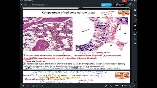 Hematologyhistologypractical 1 part1 [upl. by Yeo]