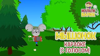 МЫШОНОК ♫ КАРАОКЕ С ГОЛОСОМ ♫ МУЛЬТ ПЕСЕНКИ ДЛЯ ДЕТЕЙ ♫ ВАРИК ТВ 0 [upl. by Acirfa]