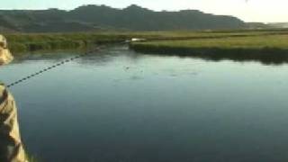 Dry Fly Fishing Silver Creek Idaho Brown Drakes [upl. by Cherian]