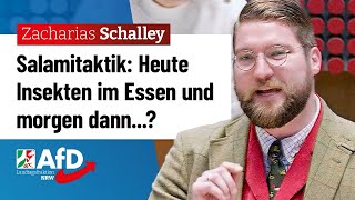 Der Plan hinter Insekten im Essen – Zacharias Schalley AfD [upl. by Lydia934]