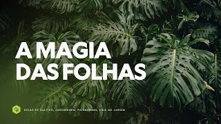 A MAGIA das FOLHAS COMPOSTAS RECORTADAS e ENCANTADORAS [upl. by Zullo]