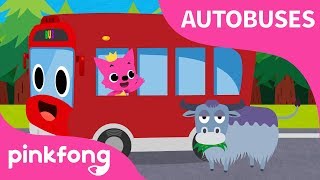 Las Ruedas del Bus Rojo  Autobuses  Pinkfong Canciones Infantiles [upl. by Navek]