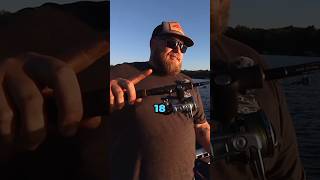 One of the BEST TECHNIQUES for FALL WALLEYES Walleye walleyefishing fishing shorts [upl. by Kulsrud]