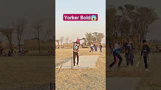 Yorker Bold Wicket  Cricketinformationprovider cricket cricket cricket [upl. by Zaslow944]