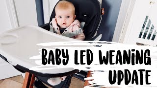 IS WILLA EATING TABLE FOOD  BABY LED WEANING UPDATE [upl. by Arturo]