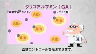 44 グリコアルブミン（GA）【糖尿病3分間ラーニング】 [upl. by Anas11]