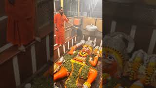 Prayagraj bade Hanuman Mandir live darshan [upl. by Oicnerual]