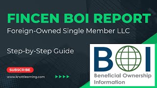 How to File BOI Report with FinCEN  Example for Single Member LLC [upl. by Iinden]