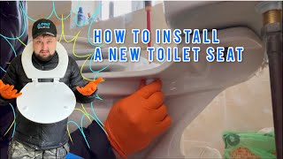 How to replace a toilet seat [upl. by Mastat]