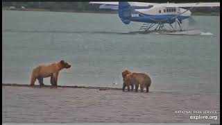 910 blended family romp amp play on the beach KRV Jul 4 2024 exploreorg [upl. by Attemaj]