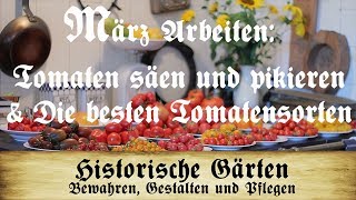 Arbeiten im März Tomaten säen und pikieren  Die besten Tomatensorten [upl. by Marne]