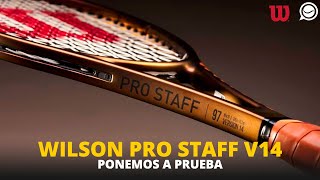 PONEMOS a PRUEBA la nueva RAQUETA WILSON PRO STAFF V14 [upl. by Saltsman]