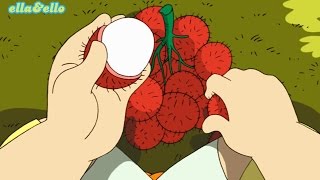 Kutahu Nama Buah  Rambutan Mangga Pisang  Puri Animation [upl. by Ahsahs580]