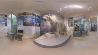 360° Naturkundemuseum Potsdam [upl. by Nehtan727]