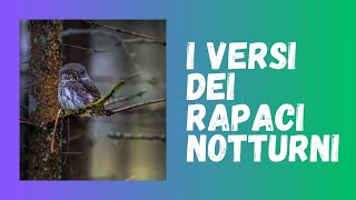 I Versi dei Rapaci Notturni Canti e Richiami [upl. by Doreg570]